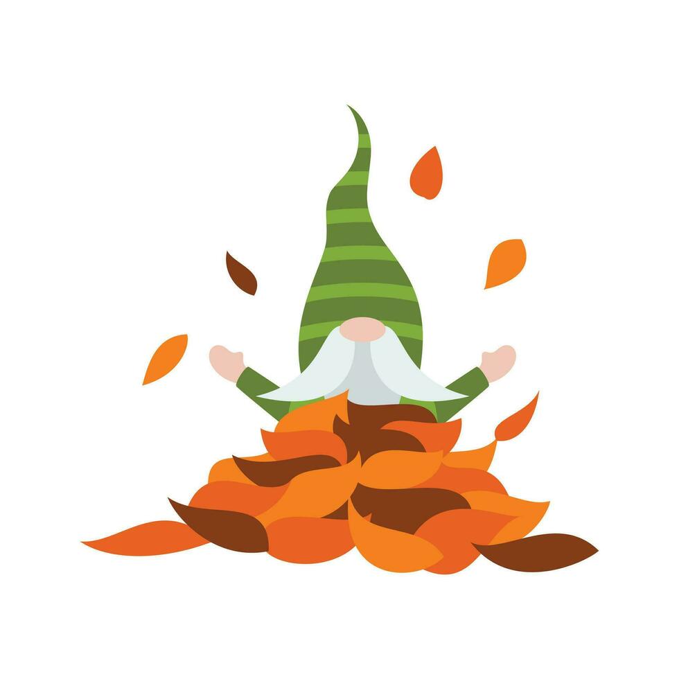 Thanksgiving gnomes illustration. Cute Cartoon fall gnomes isolated in white background. vector