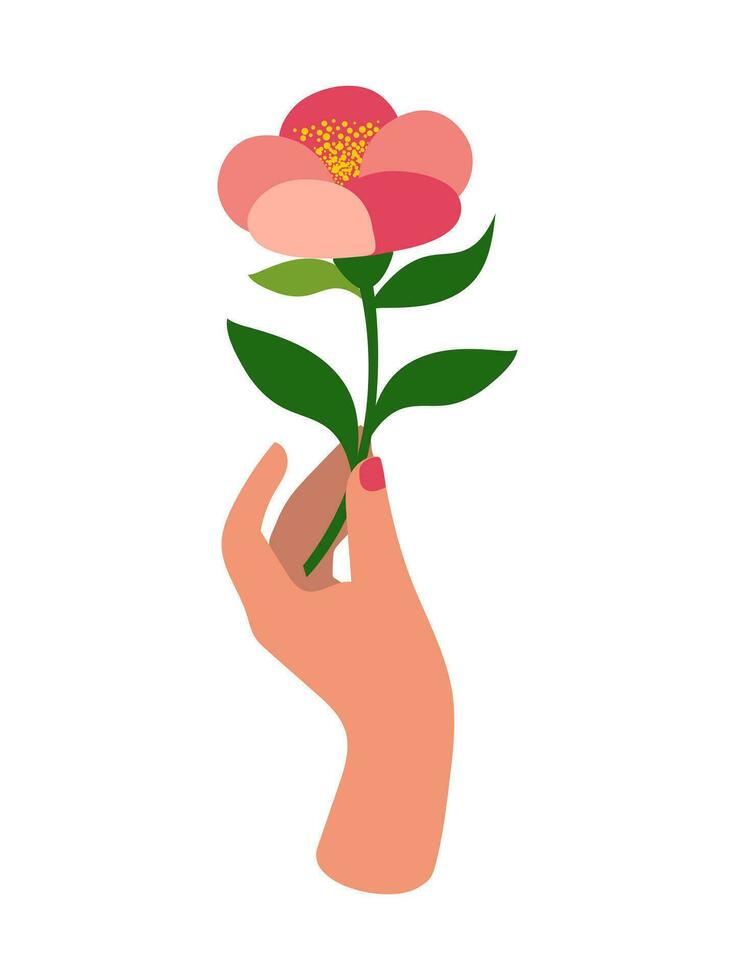 mujer mano con un hermosa delicado rosado flor, elevado arriba, aislado en blanco. doncella fuerza. el concepto de feminismo. el floración de femenino energía. vector. vector