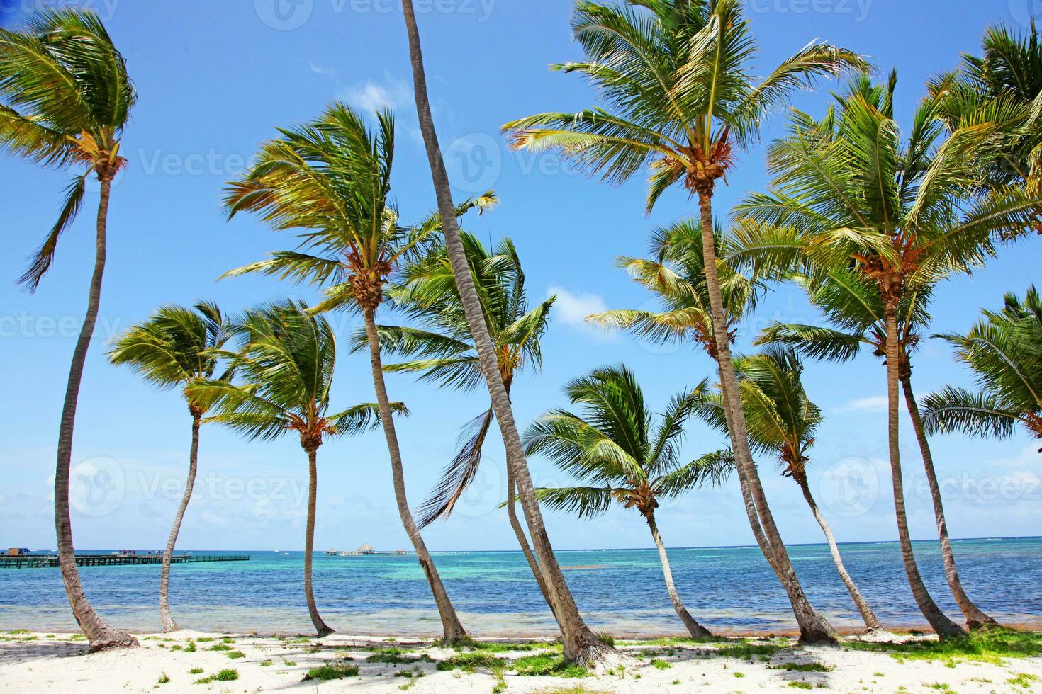 Beach with white sand, sun and quiet ocean. Tropical banner. photo