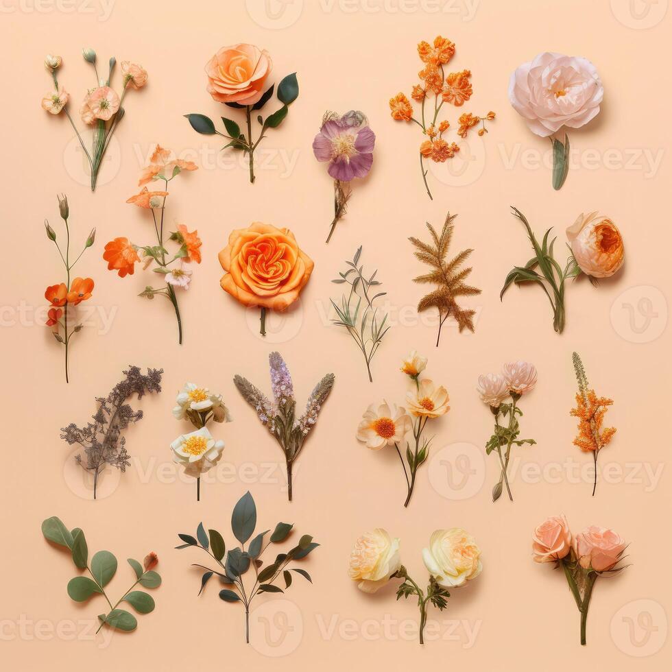 Collage of various flowers on a beige background. technology. photo