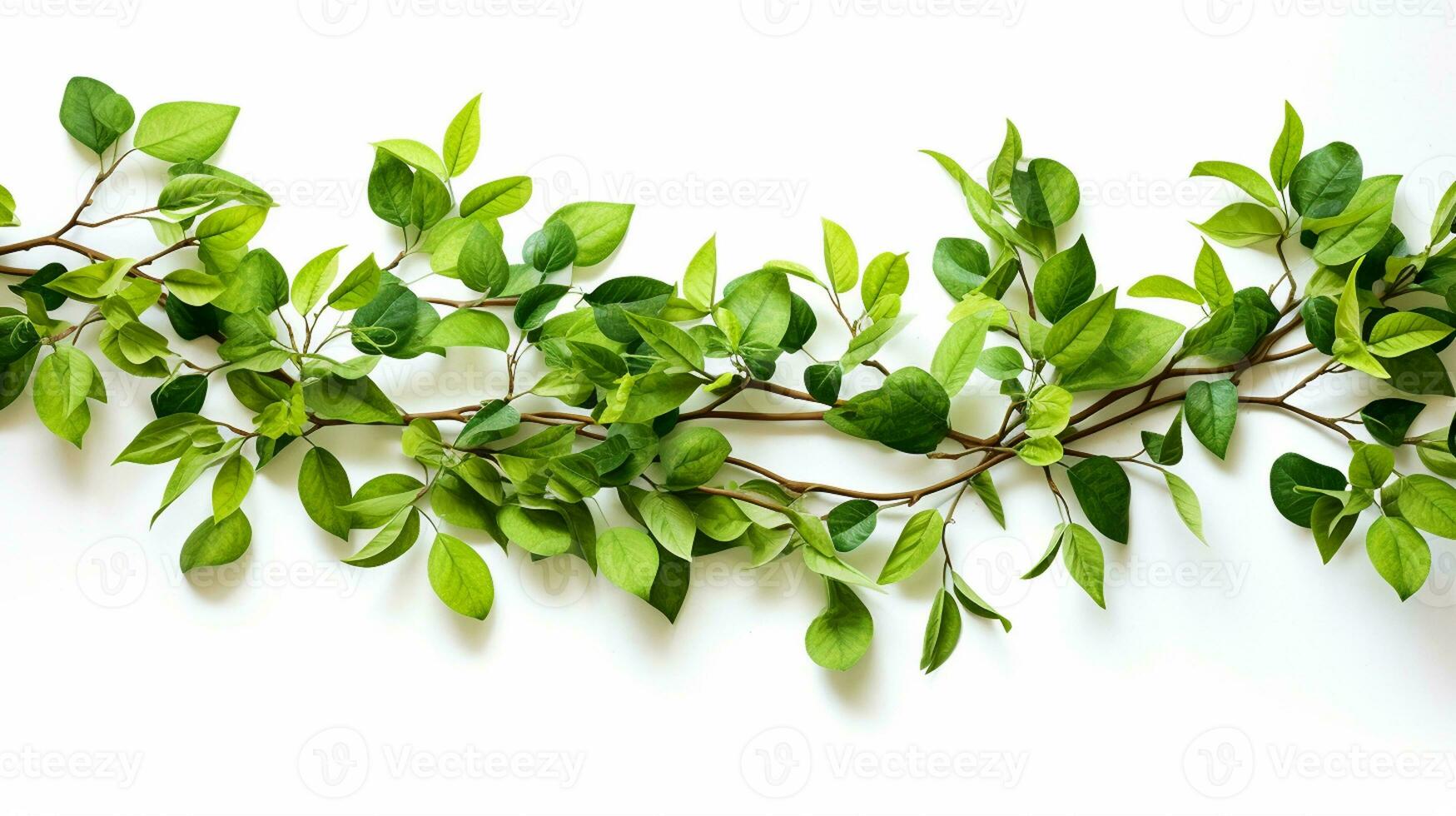 AI Generative soft green tree branches on white background with copy space photo