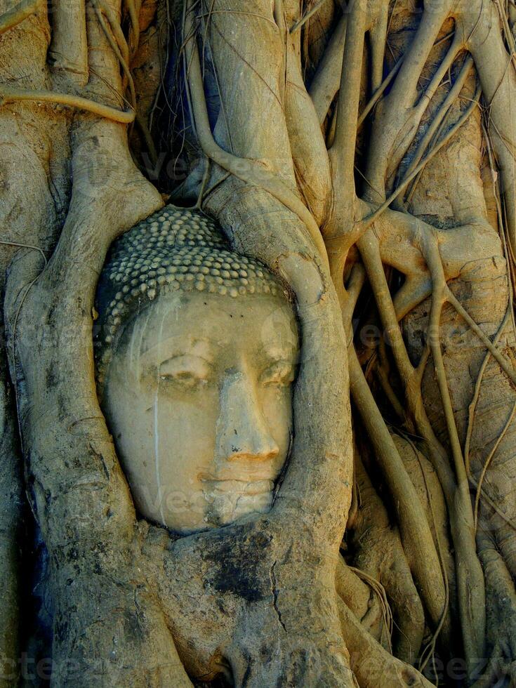 el Buda cabeza en árbol raíces, wat maha eso, Lisa blackpink estaba aquí, ayutthaya, Tailandia foto