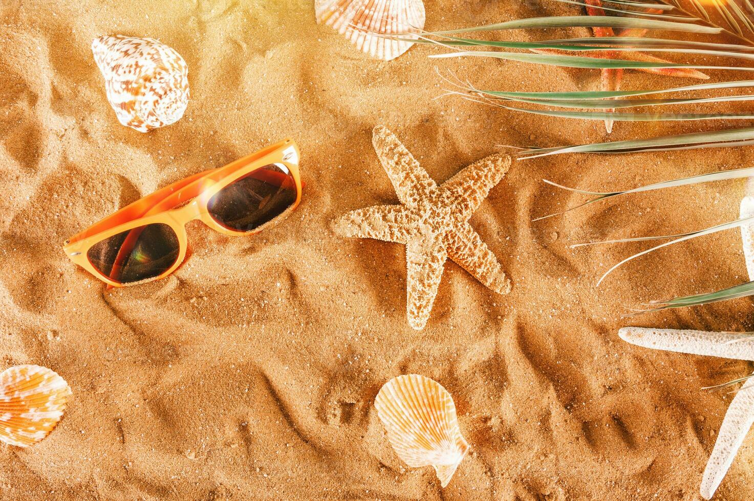 Background of starfishes and shells on the golden beach photo