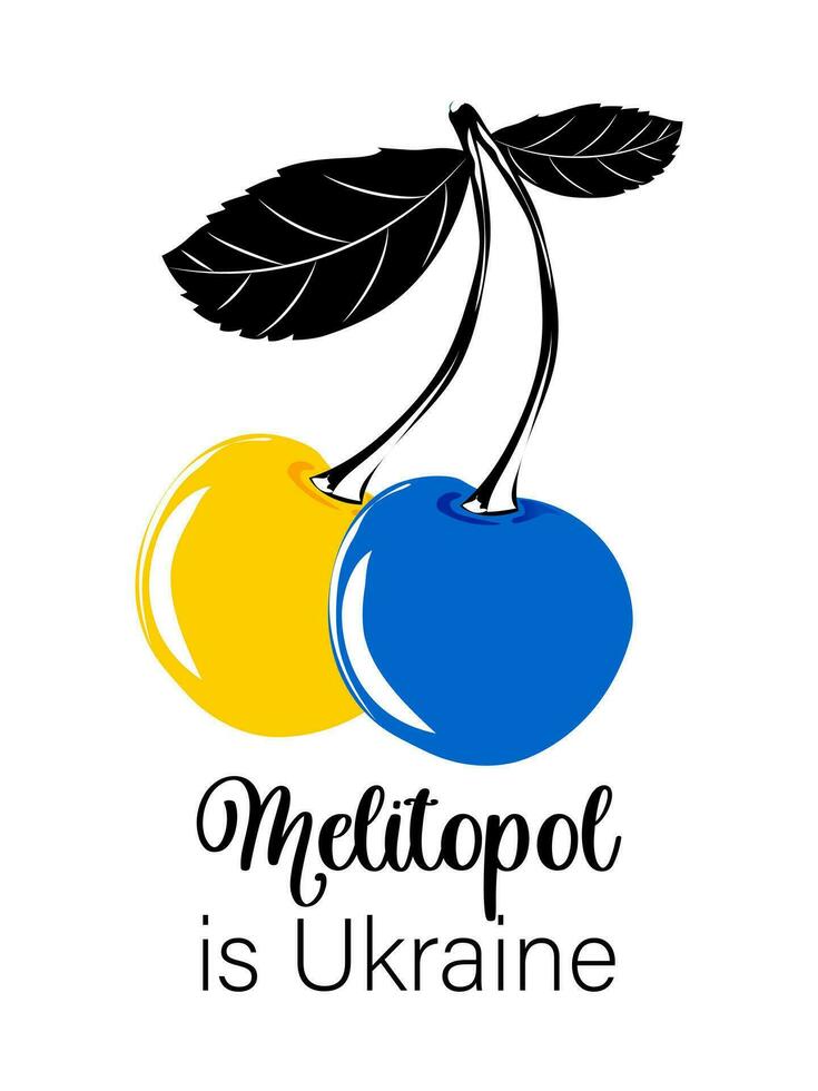 Yellow and blue sweet cherries with leaves on a white background with the text Melitopol is Ukraine. Vector. vector