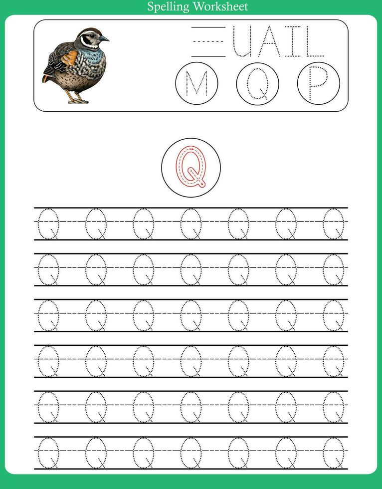 ABC Adventure,Tracing Fun for Preschoolers vector