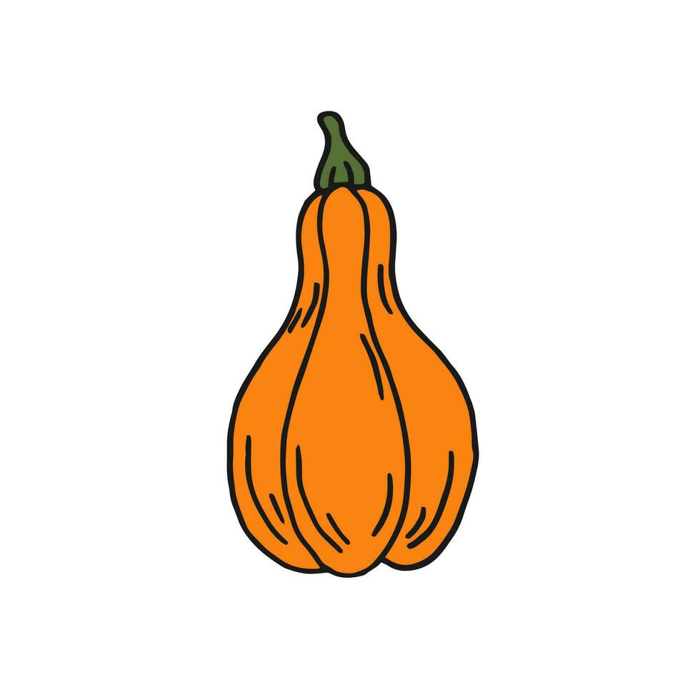 Pumpkin. Flat color icon. Thanksgiving design. Autumn pumpkin. vector