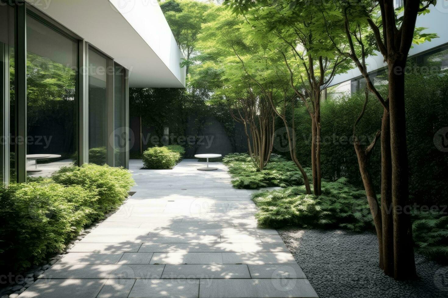 Beautiful tree-lined walkway connecting two buildings photo