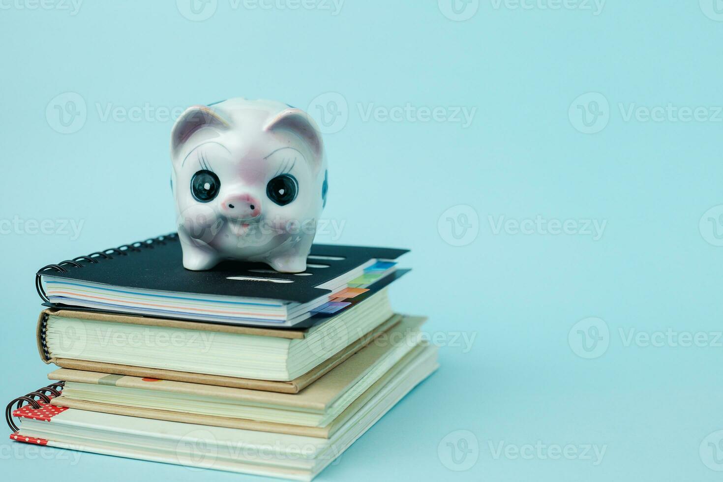 Saving piggy bank on books against blue background photo