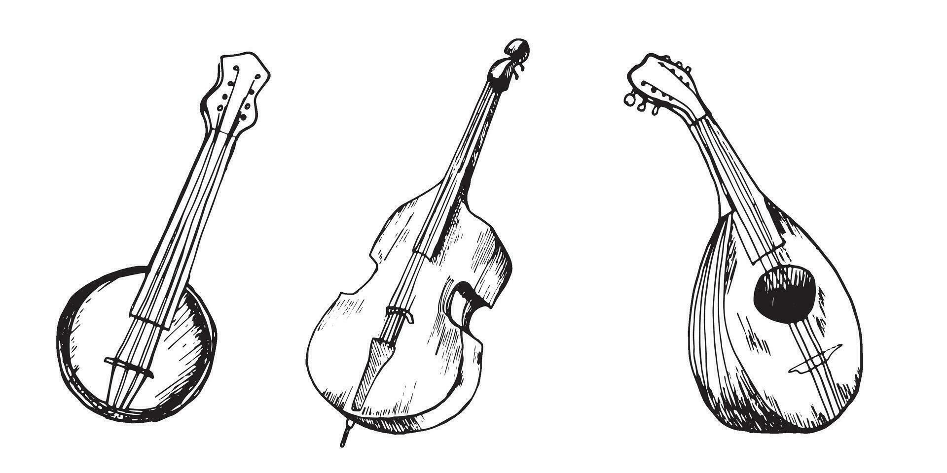 Set of contrabass, mandoline, banjo musical instrument vector