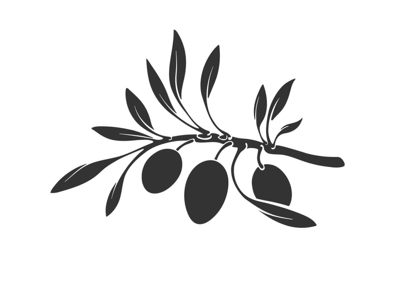 Graphic vector silhouettes of olive tree branch