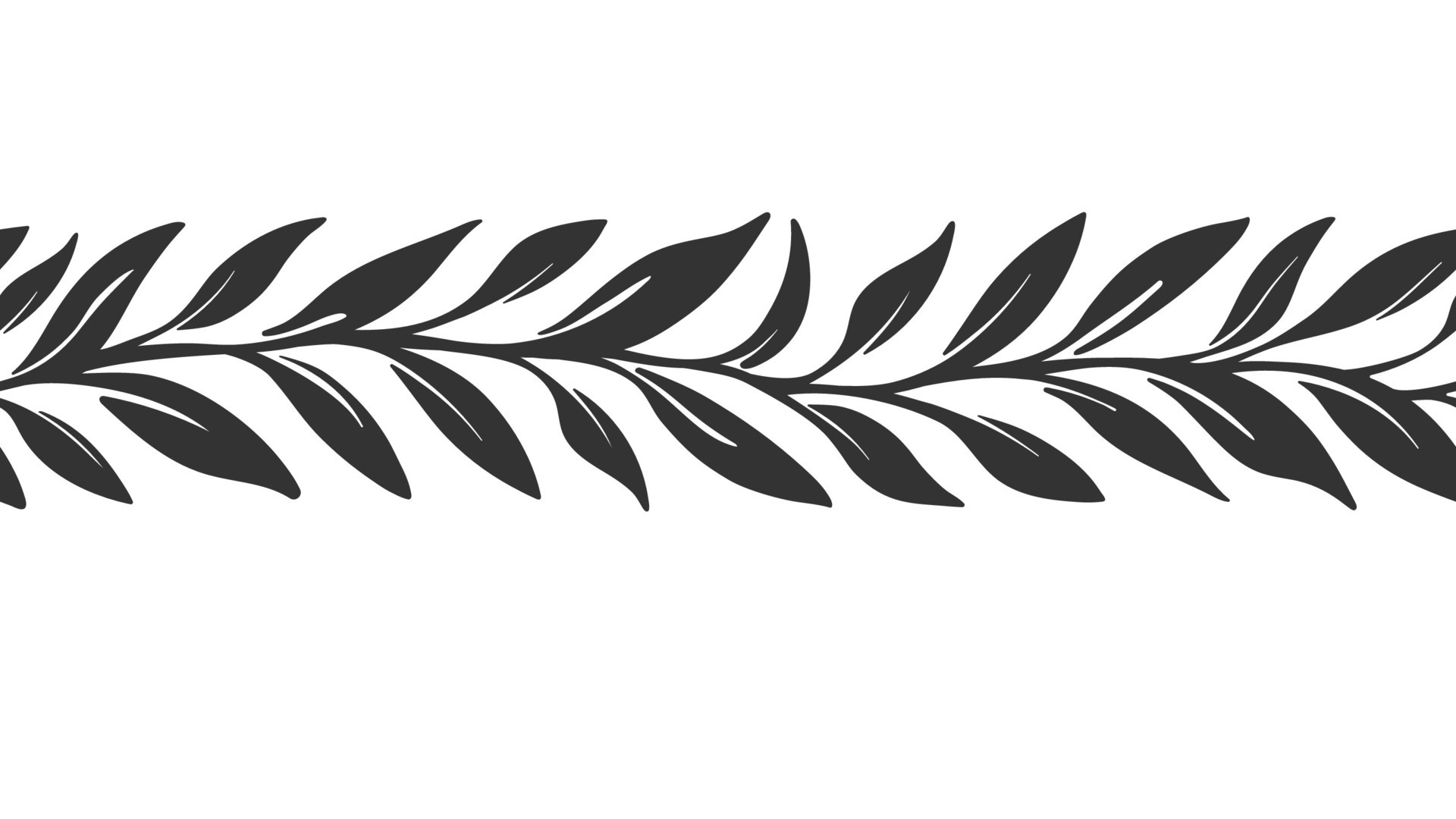 Leaves print. Olive border, greek meander, laurel 26394770 Vector Art