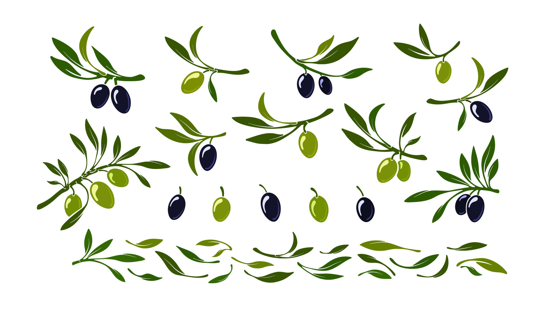 Set of olives. Vector black and green macro fruit 26394780 Vector Art