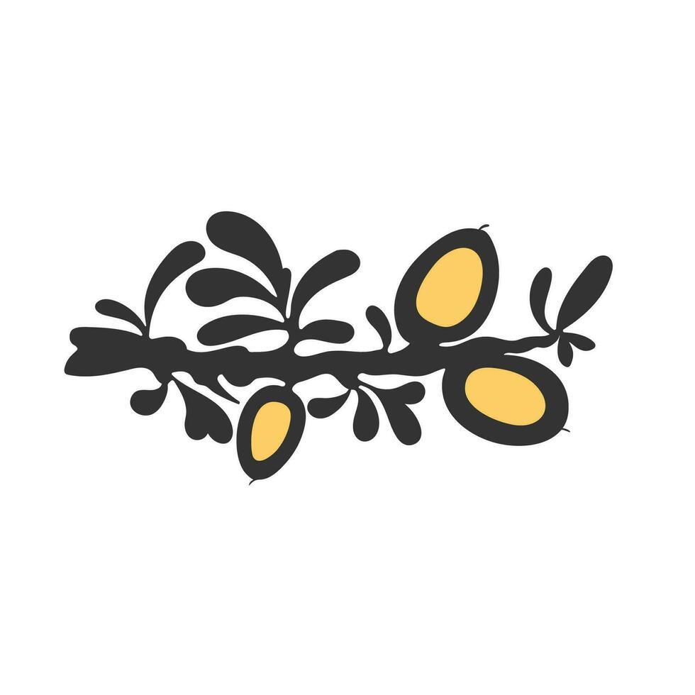 Argan symbol. Vector plant, leaves, berry. Graphic