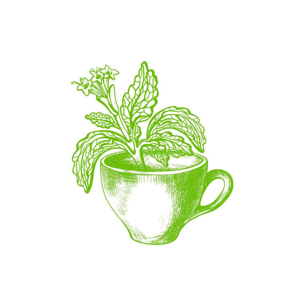 Stevia symbol. Vector sweet plant and cup. Organic