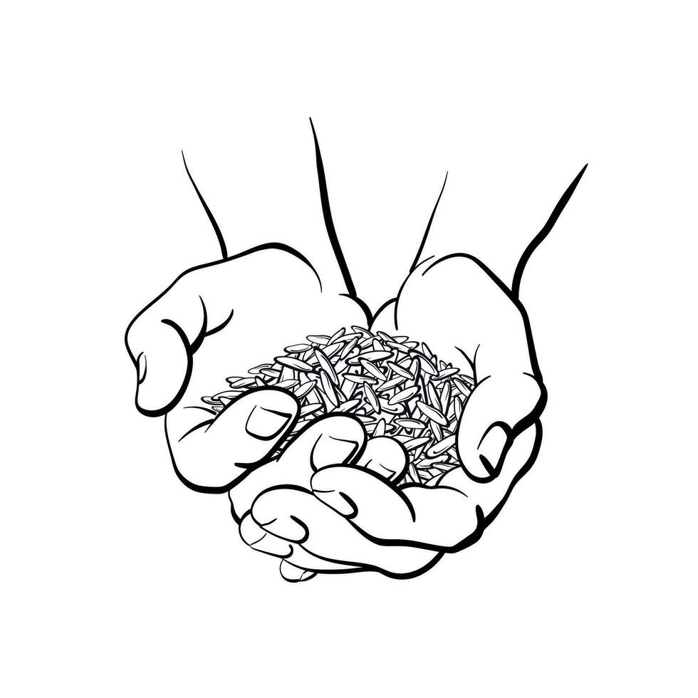 Rice grain in hands. Vector silhouette of seed