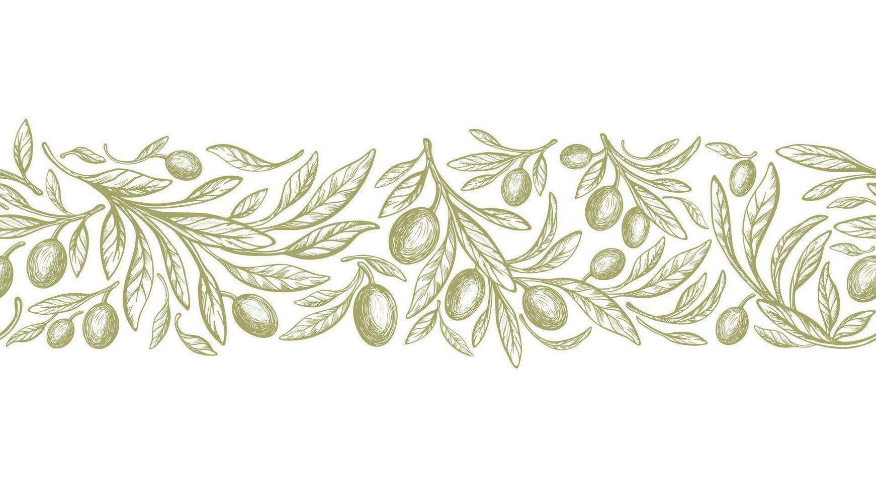 Olive seamless pattern, repeat stripe. Drawn fruit vector
