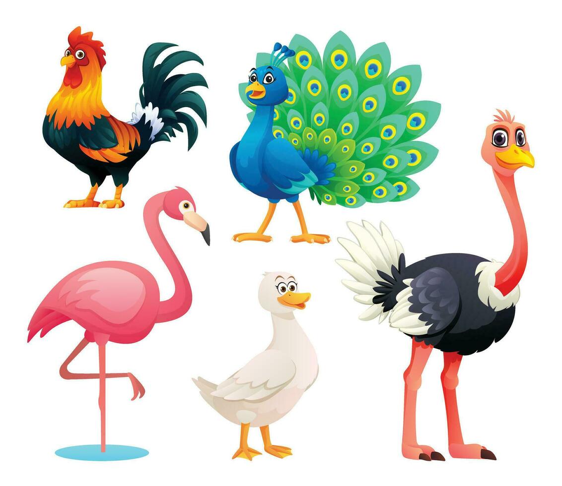 Set of birds vector cartoon illustration. Rooster, peacock, flamingo, duck and ostrich