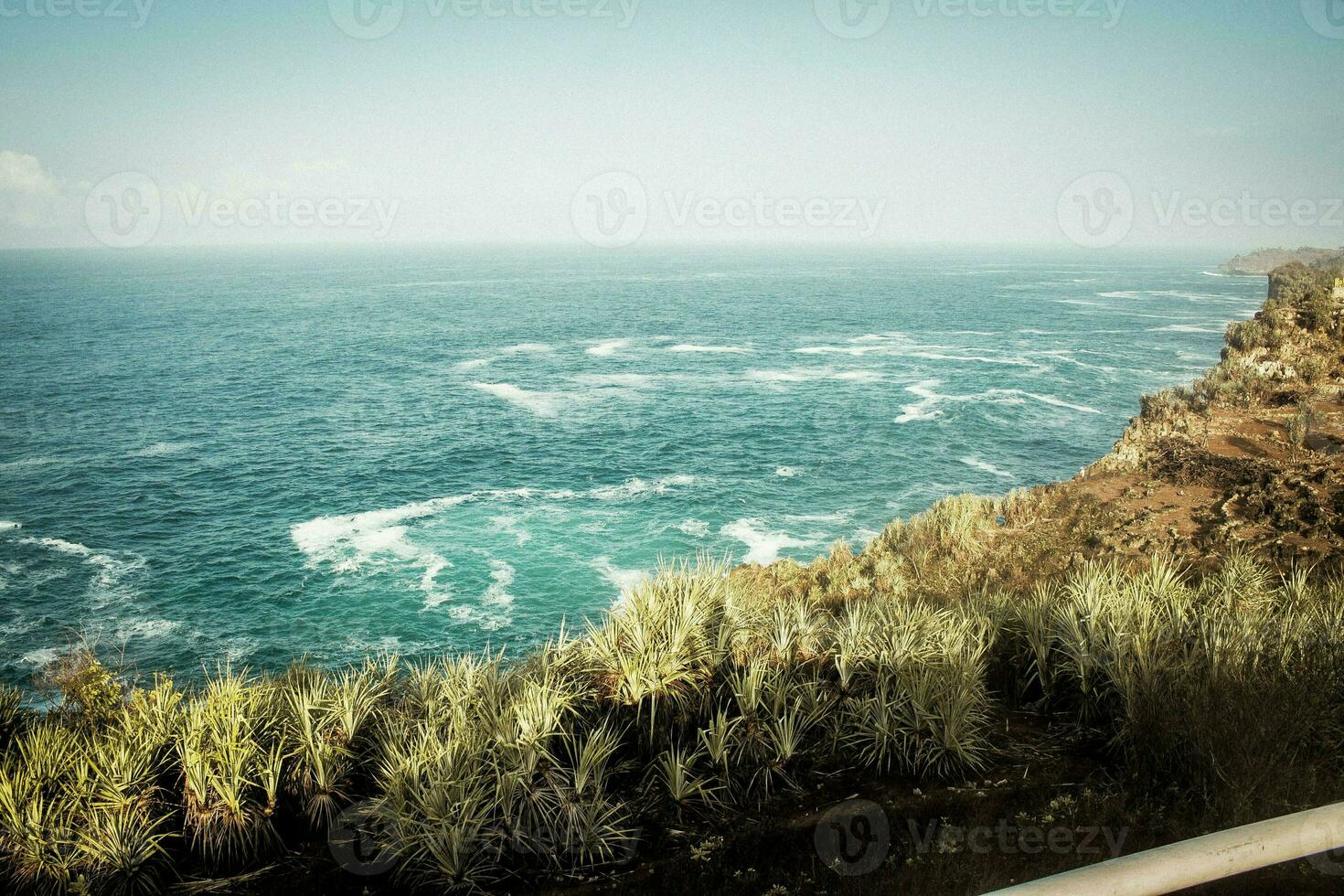 very large of the sea photo