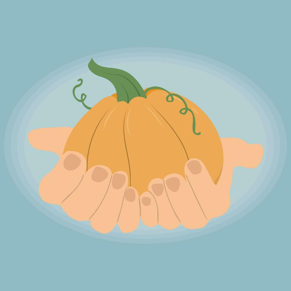 Human hands holding a pumpkin vector