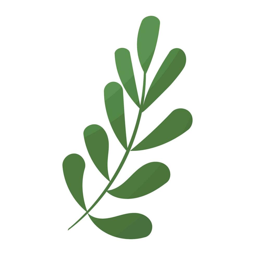 leaf branch autumn forest green icon element vector