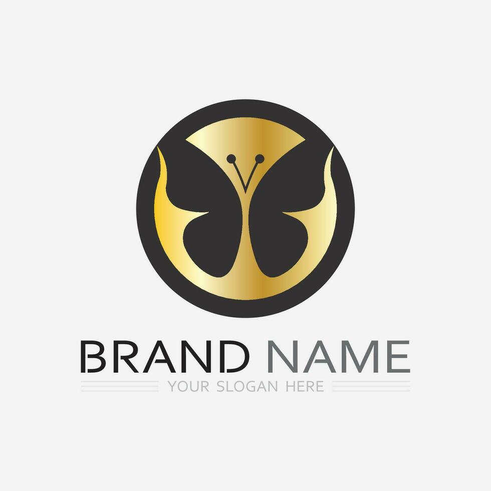 Beauty Butterfly icon design vector