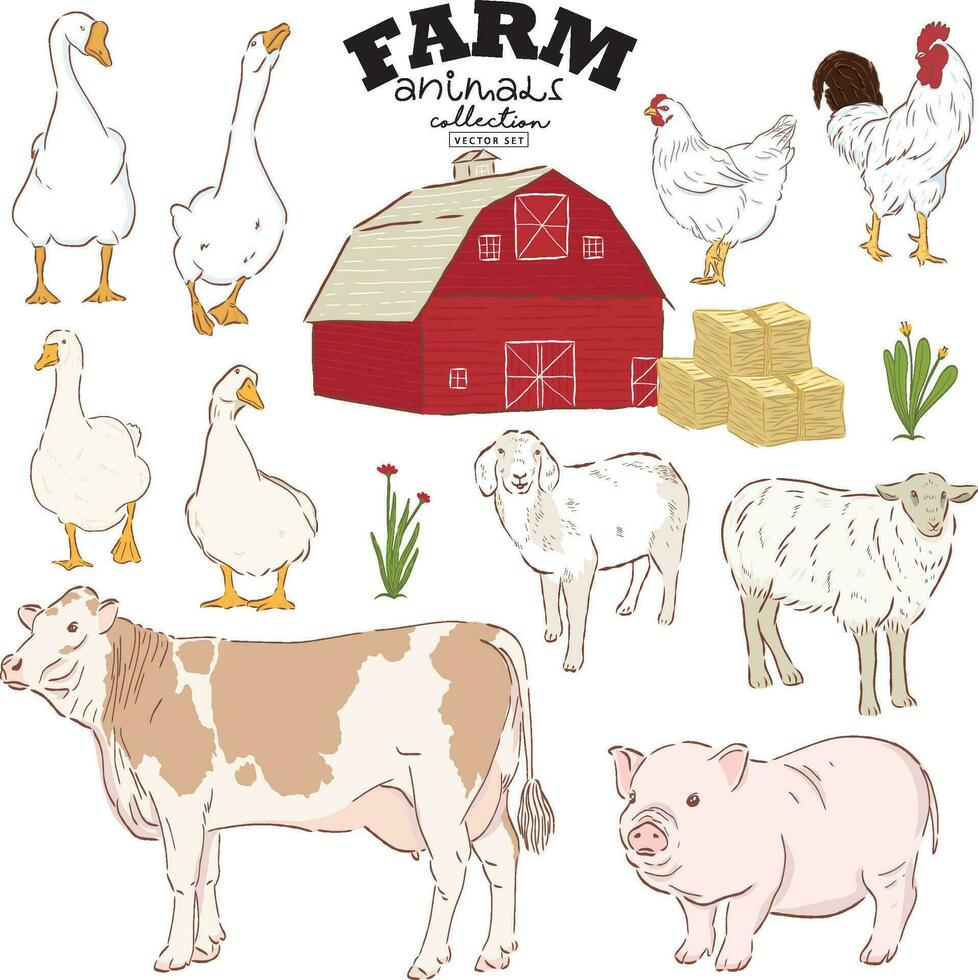 Farm animals collection vector set