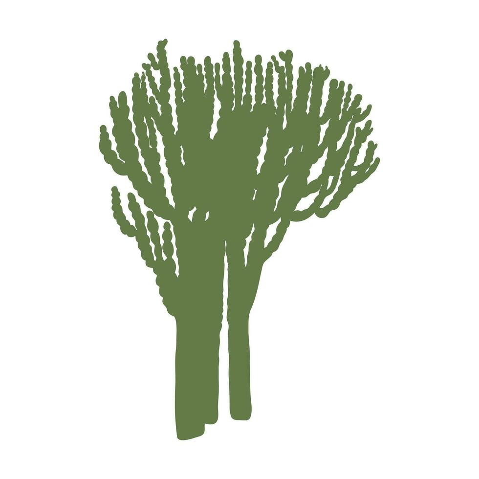 Euphorbia ammak silhouette isolated on white background. Exotic succulent illustration vector