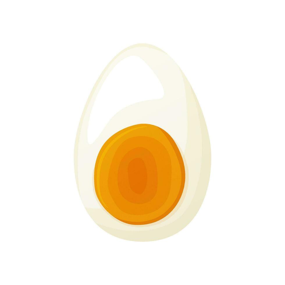 Chicken egg. Baking and cooking Ingredients. Healthy organic food. vector