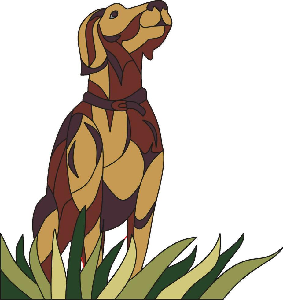 Vector hunting brown dog sits in green grass and looks at the sky at ducks template for stained glass