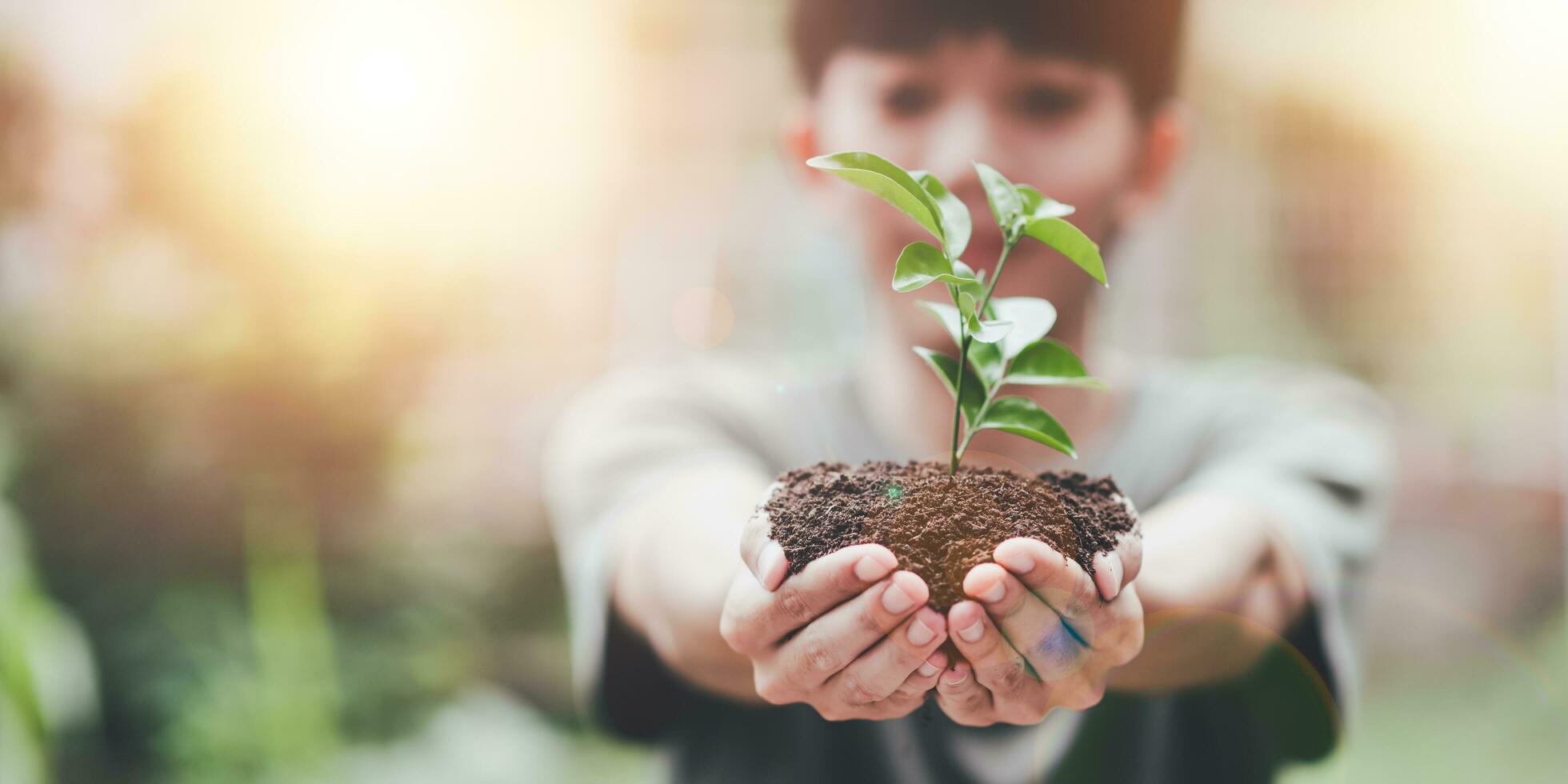 plantando arboles reducir global calentamiento,prevención y tratamiento aire contaminación ,ambiental y ecológico Campaña ,verde energía innovación y ambientalmente simpático energía tecnología ,ahorro mundo foto