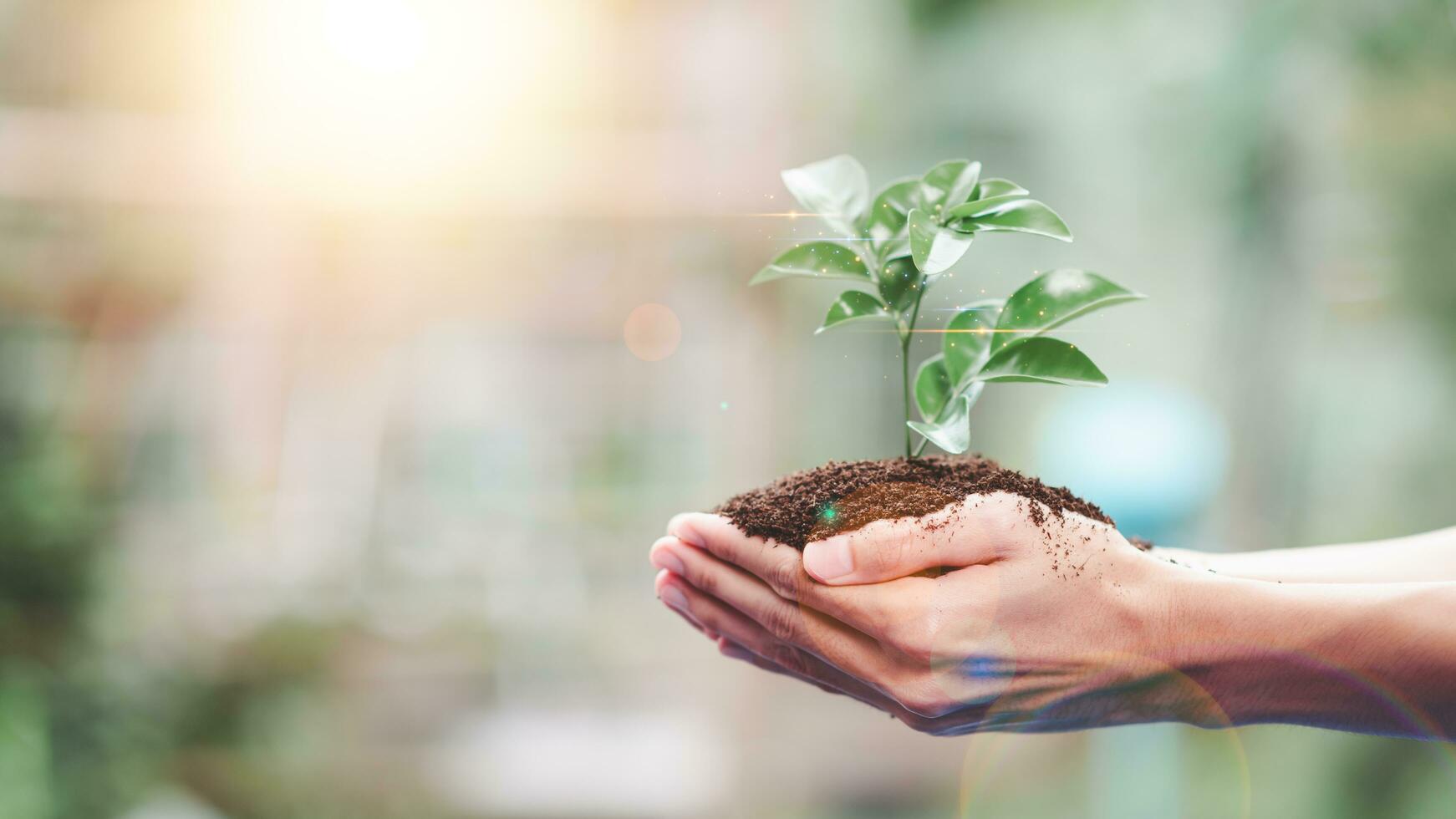 plantando arboles reducir global calentamiento,prevención y tratamiento aire contaminación ,ambiental y ecológico Campaña ,verde energía innovación y ambientalmente simpático energía tecnología ,ahorro mundo foto