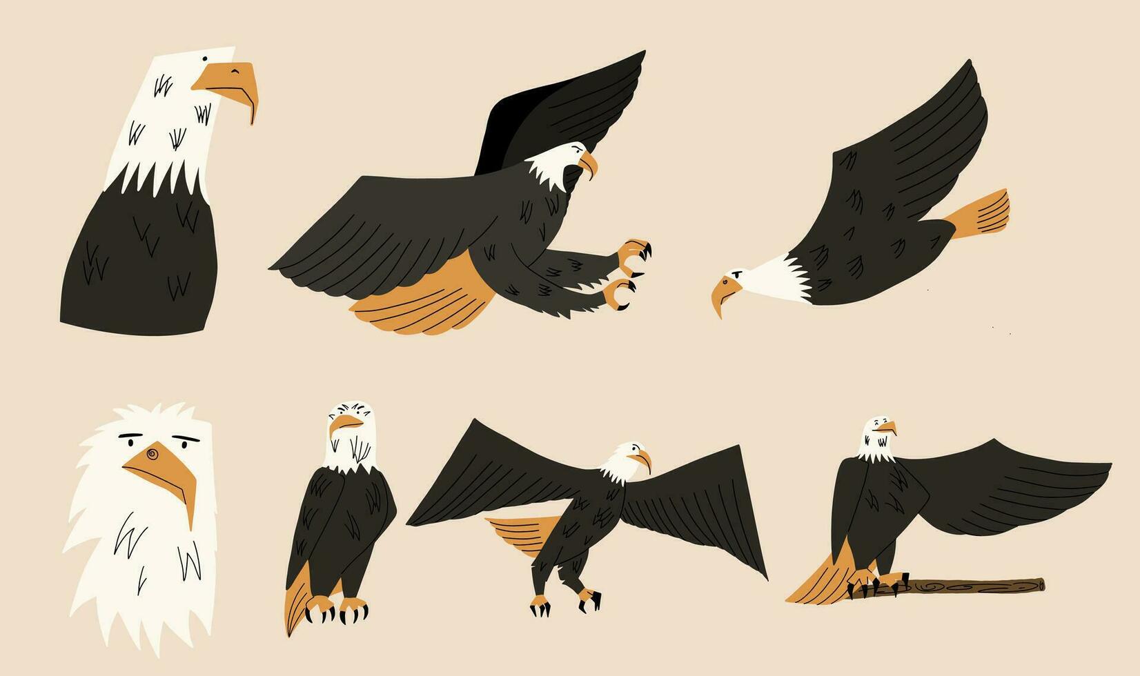 conjunto en diferente poses de un calvo águila. vector ilustración en mano dibujado estilo