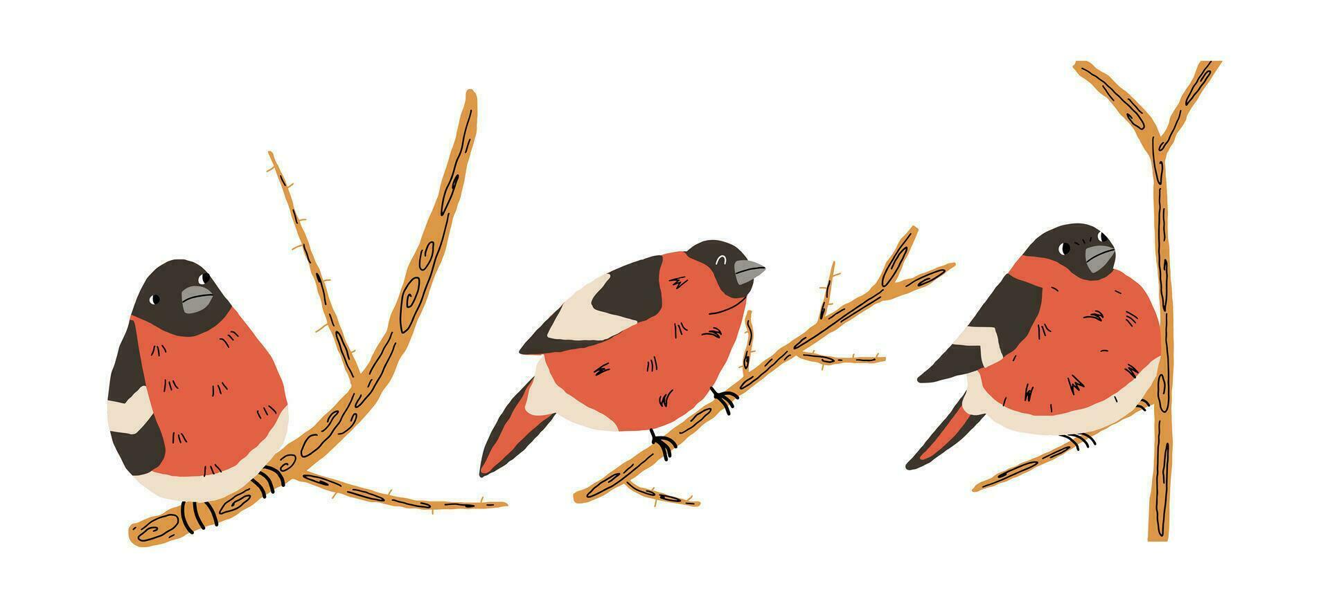 Set of bullfinch birds on branches. Vector illustration in hand drawn style