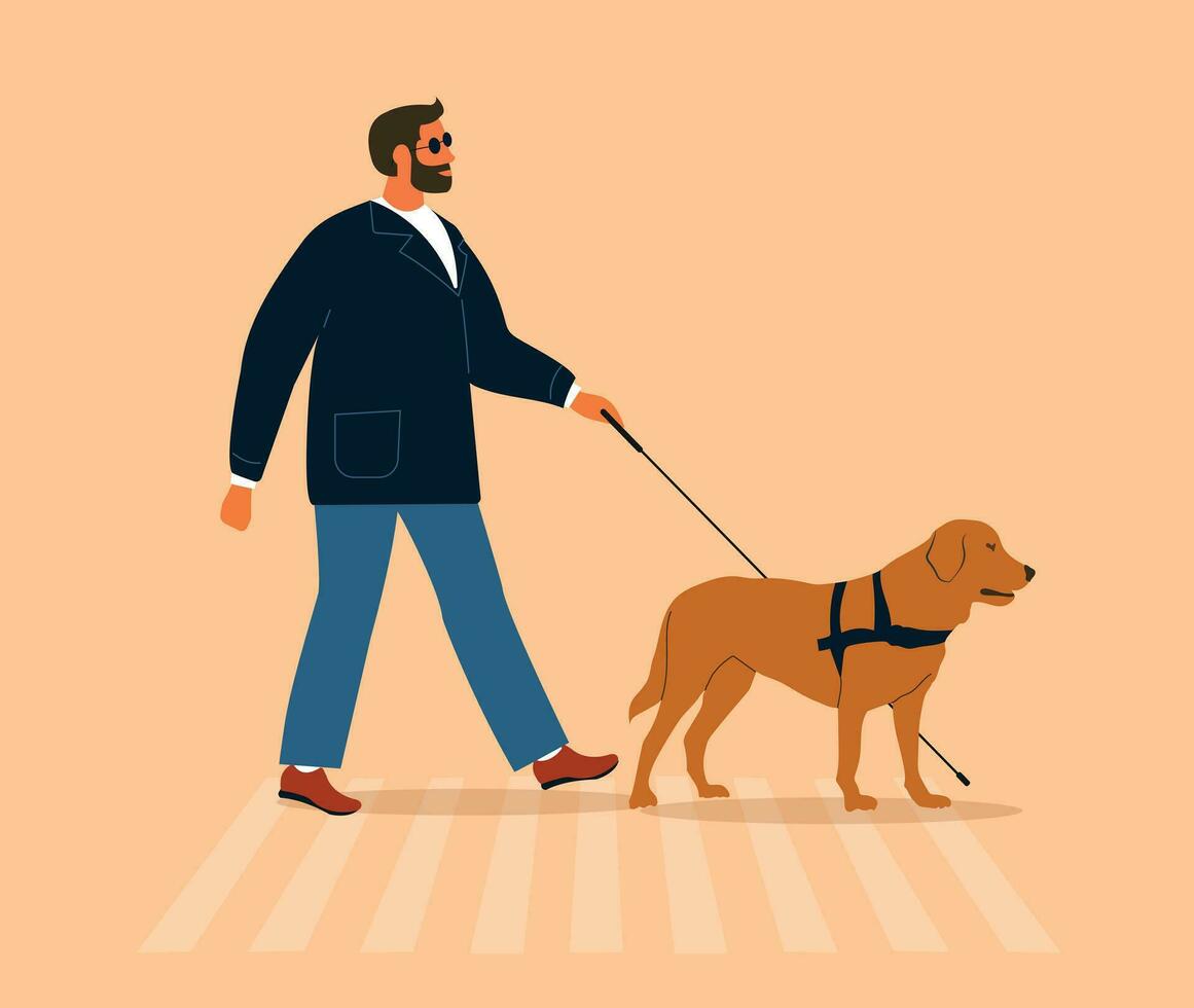 ciego hombre caminar al aire libre con guía perro asistencia. persona quien es visualmente dañado o ciego cruce un calle paso de peatones con un caña y ojo que ve Labrador. visual discapacidad concepto. vector