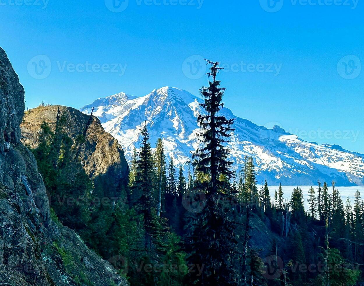 Mount Rainier from High Rock Lookout photo