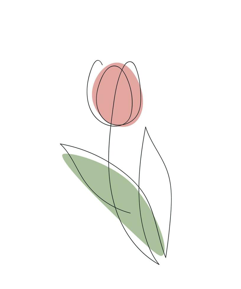 Tulip. One line drawing, color spot, minimalism. Vector illustration