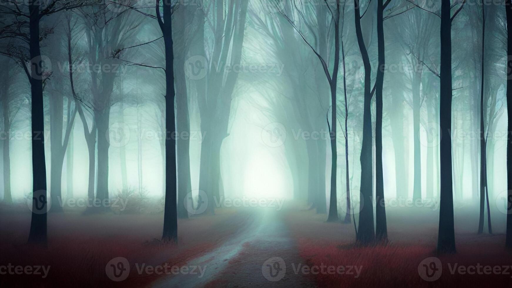 beautiful abstract background photo