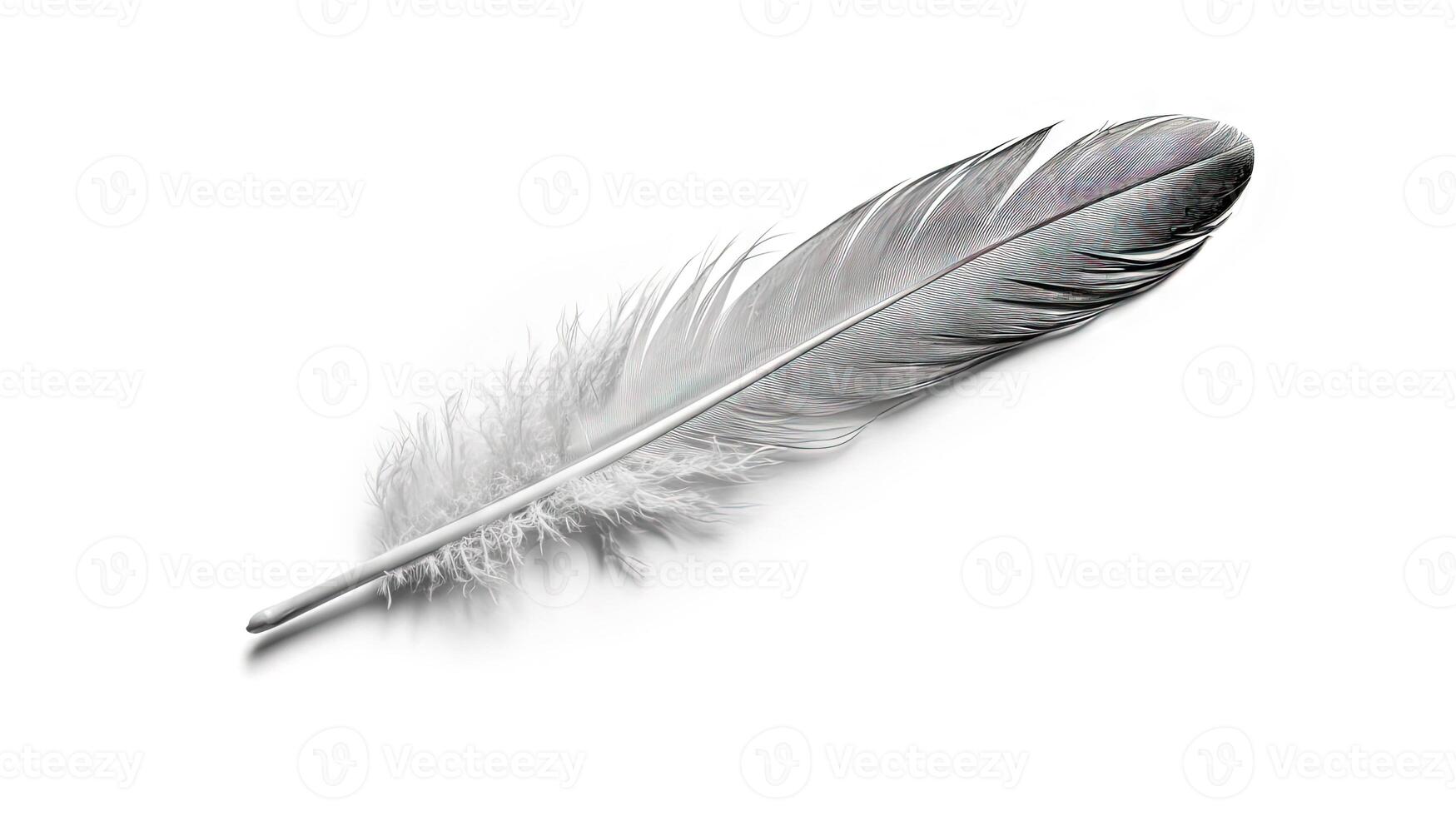 Bird feather on white background. Beautiful bird plumage or wing element, isolated smooth feather. Generated AI. photo