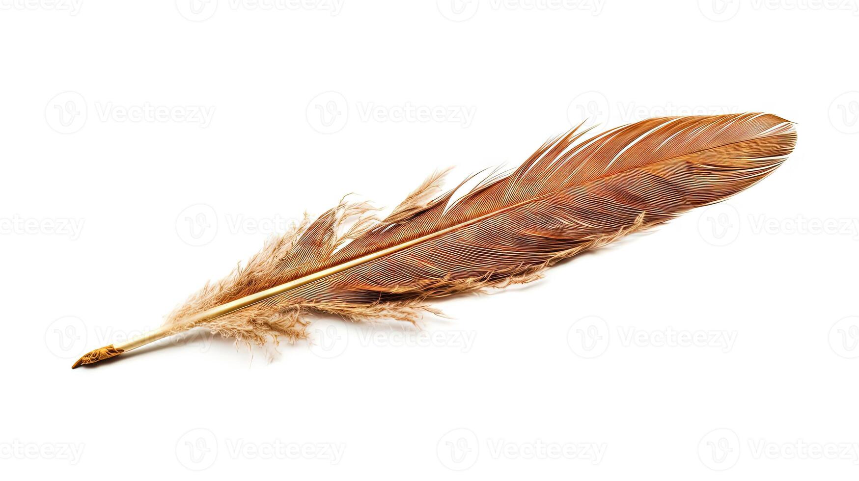 Bird feather on white background. Beautiful bird plumage or wing element, isolated smooth feather. Generated AI. photo