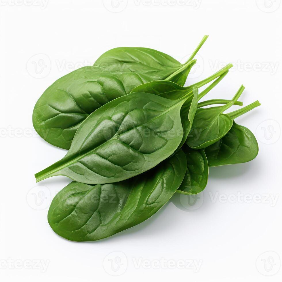 Spinach Leaf on white background photo