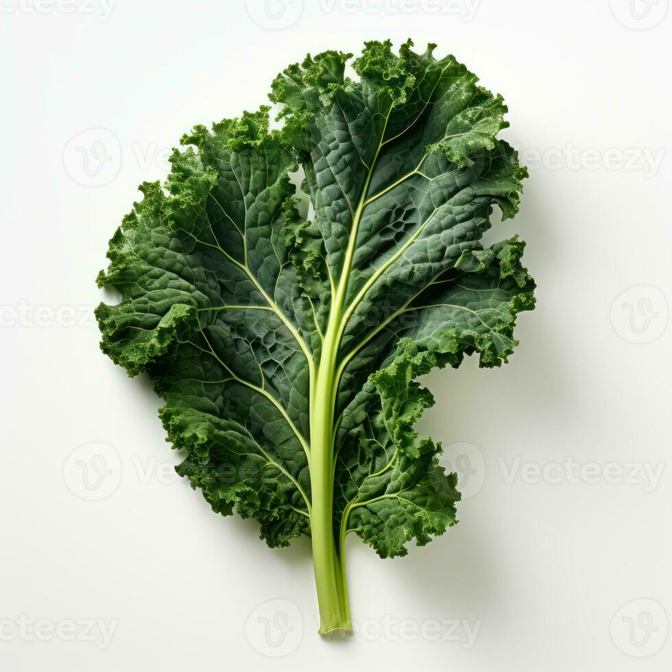 Kale Leaf on white background AI Generative photo