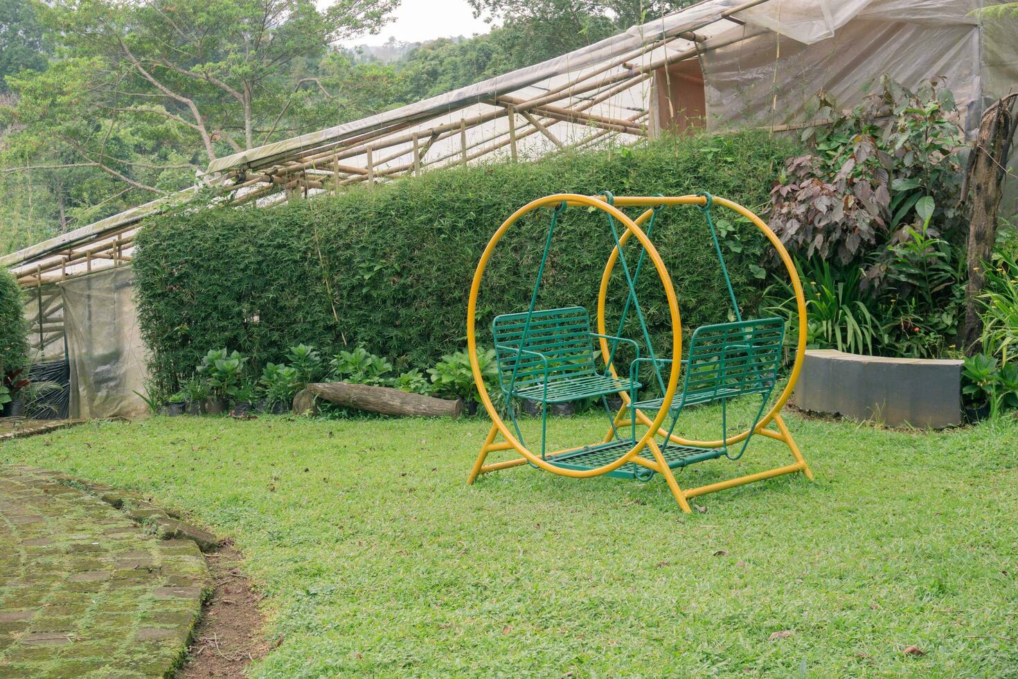 un verde columpio en un jardín, Perfecto para un fiesta con amado familia miembros foto