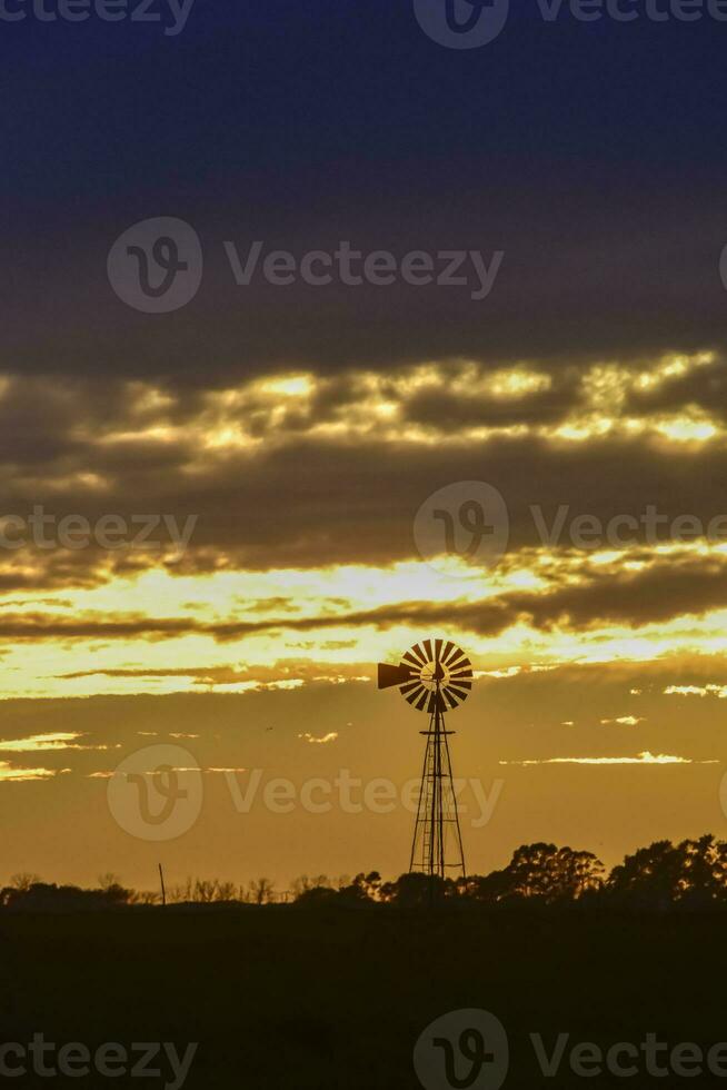 Landscape with windmill at sunset, Pampas, Patagonia,Argentina photo