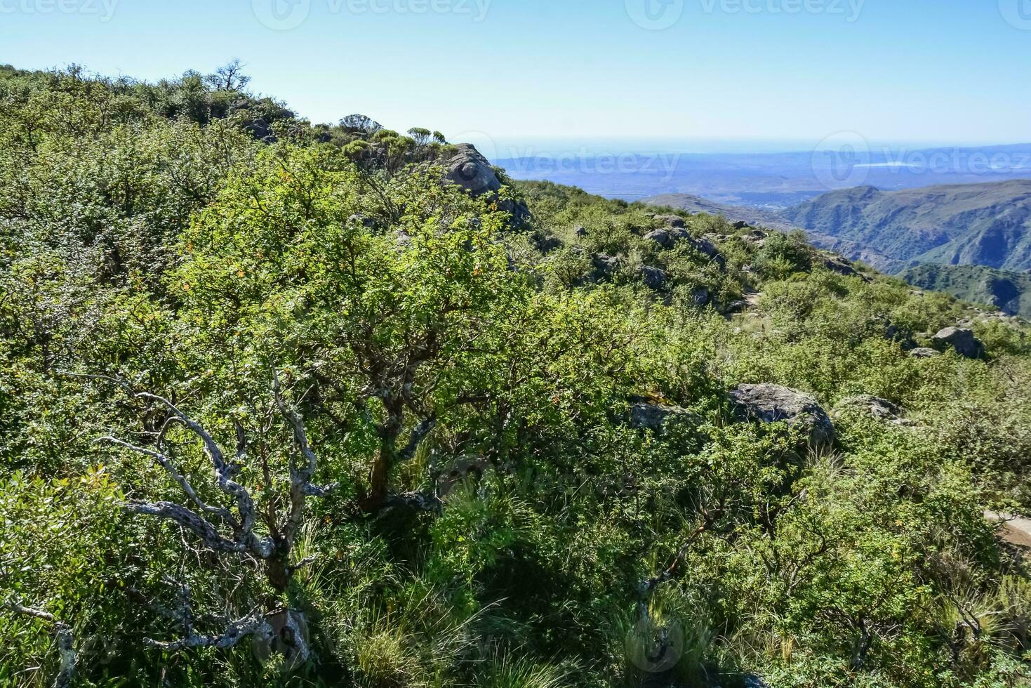 quebrada del condorito nacional parque, córdoba provincia, argentina foto