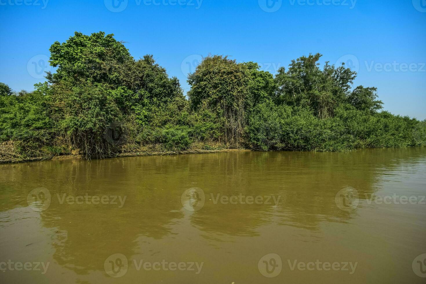 River landscape  and jungle,Pantanal, Brazil photo