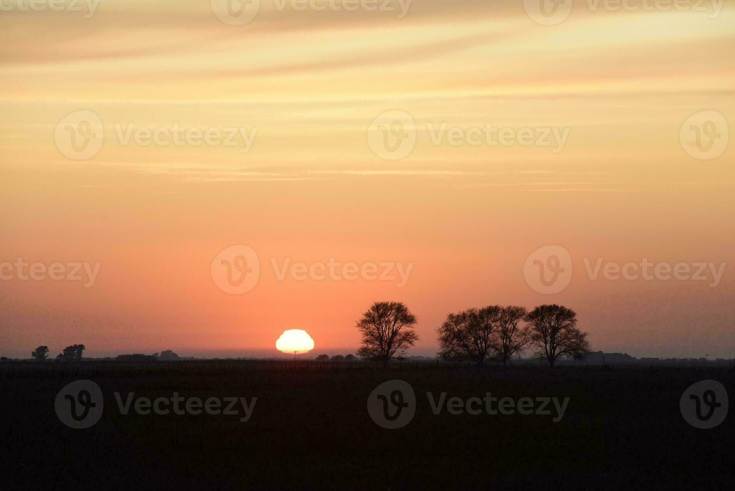 Rural sunset landscape, Buenos Aires province , Argentina photo