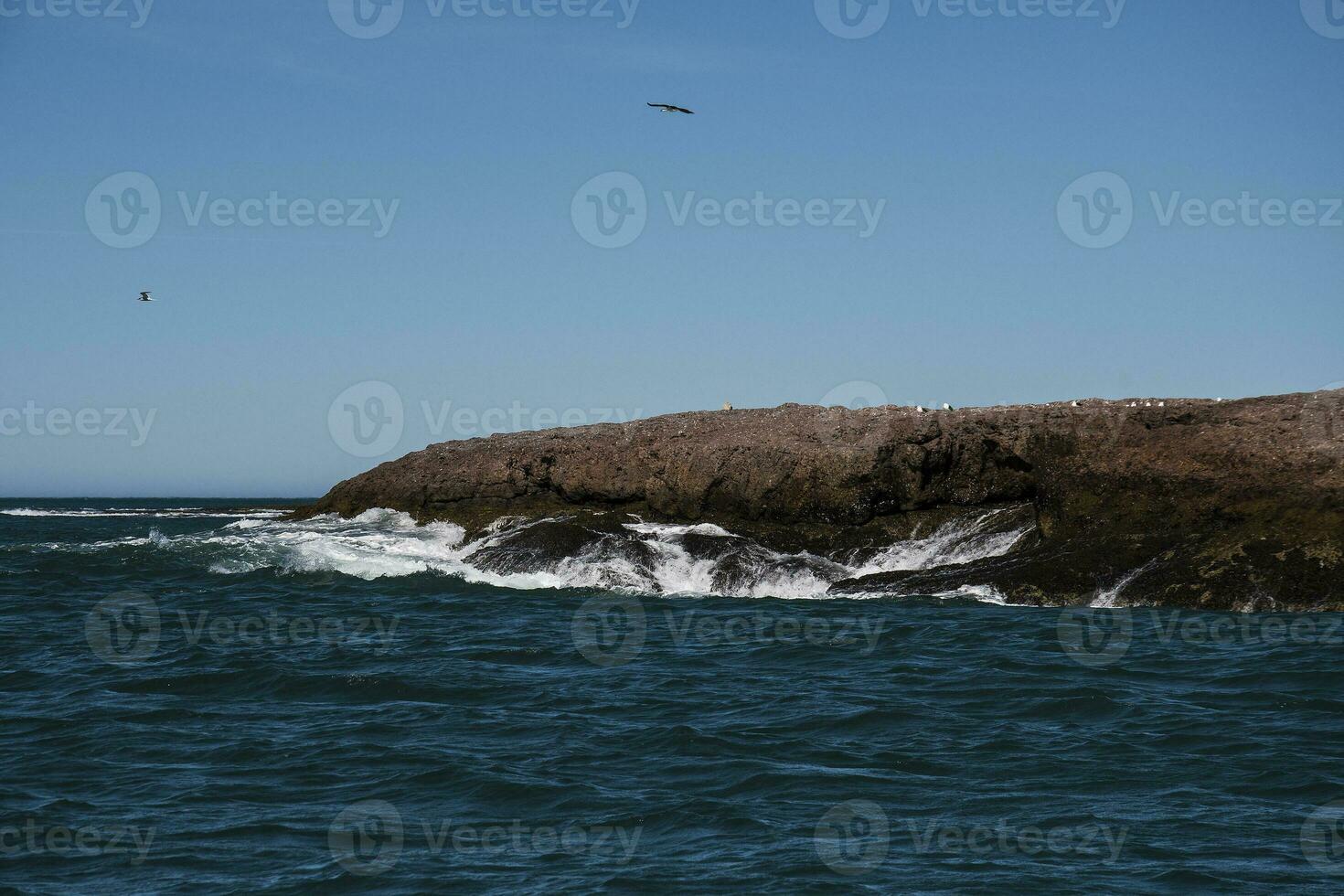 Coastal seascape, Santa Cruz Province,Patagonia, Argentina photo