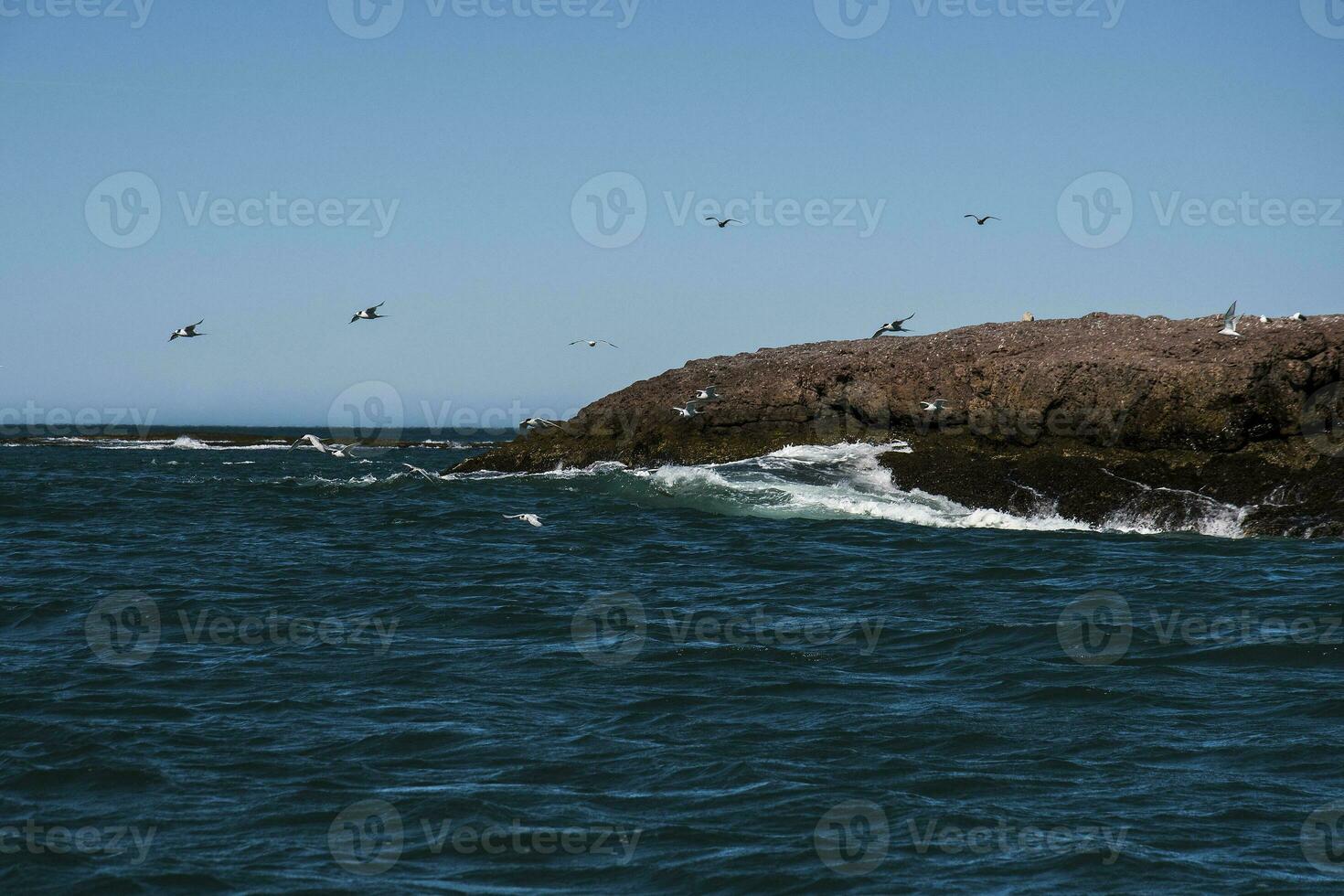 Rocky coastal landscape in Patagonia, South America. photo