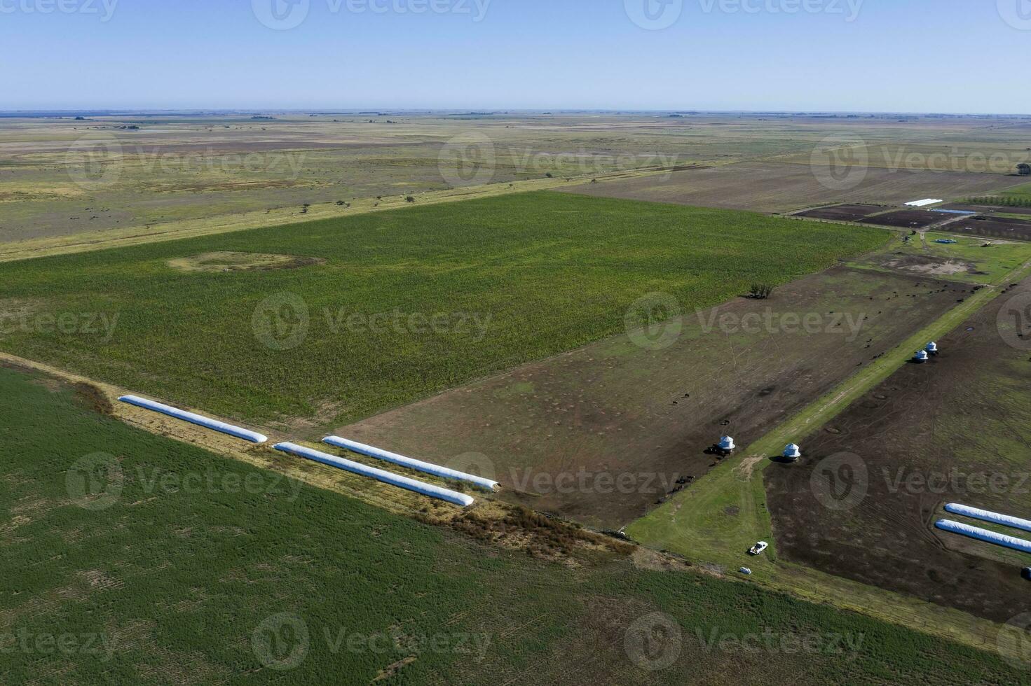 Silo bag, grain storage in La Pampa, Argentina photo