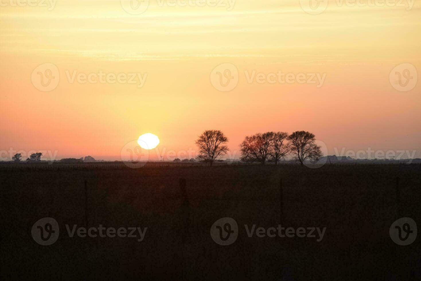 Rural sunset landscape, Buenos Aires province , Argentina photo